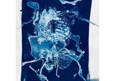 Kiley Rose Carson, Mystery (2023), media paper and cyanotype chemistry ©Kiley Rose Carson